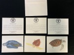 Turtle Note Cards