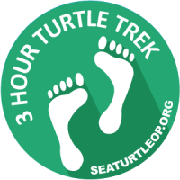4 Hour Turtle Trek 6/18/16